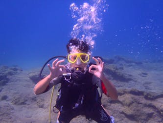 Опыт подводного плавания с аквалангом в Дальяне